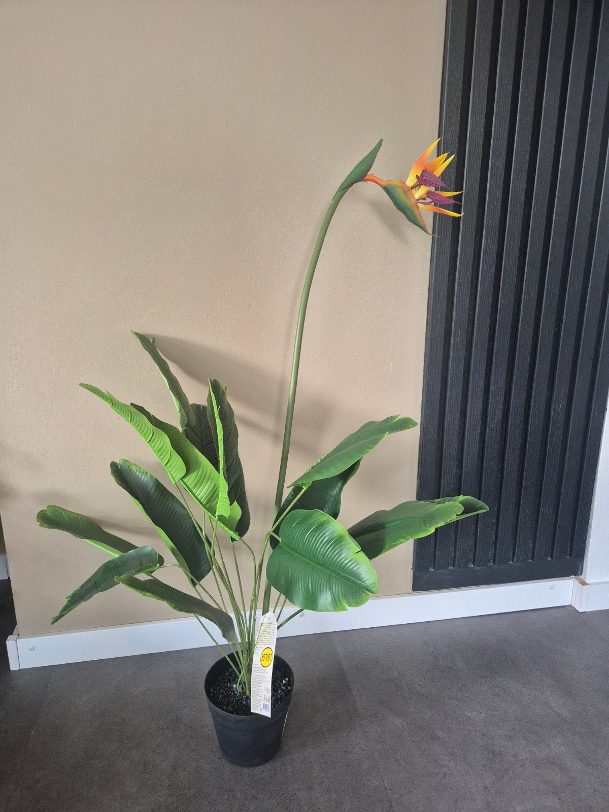 Nieuwe Strelitzia kunstplant met prijskaartje, Binnen, Groen, Kunstplant, Nieuw