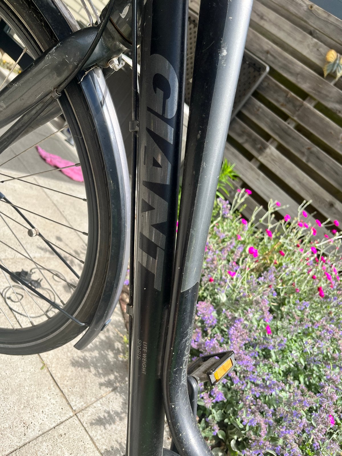 Giant damesfiets met lekke achterband, Ophalen, Velgrem, Versnellingen, Giant