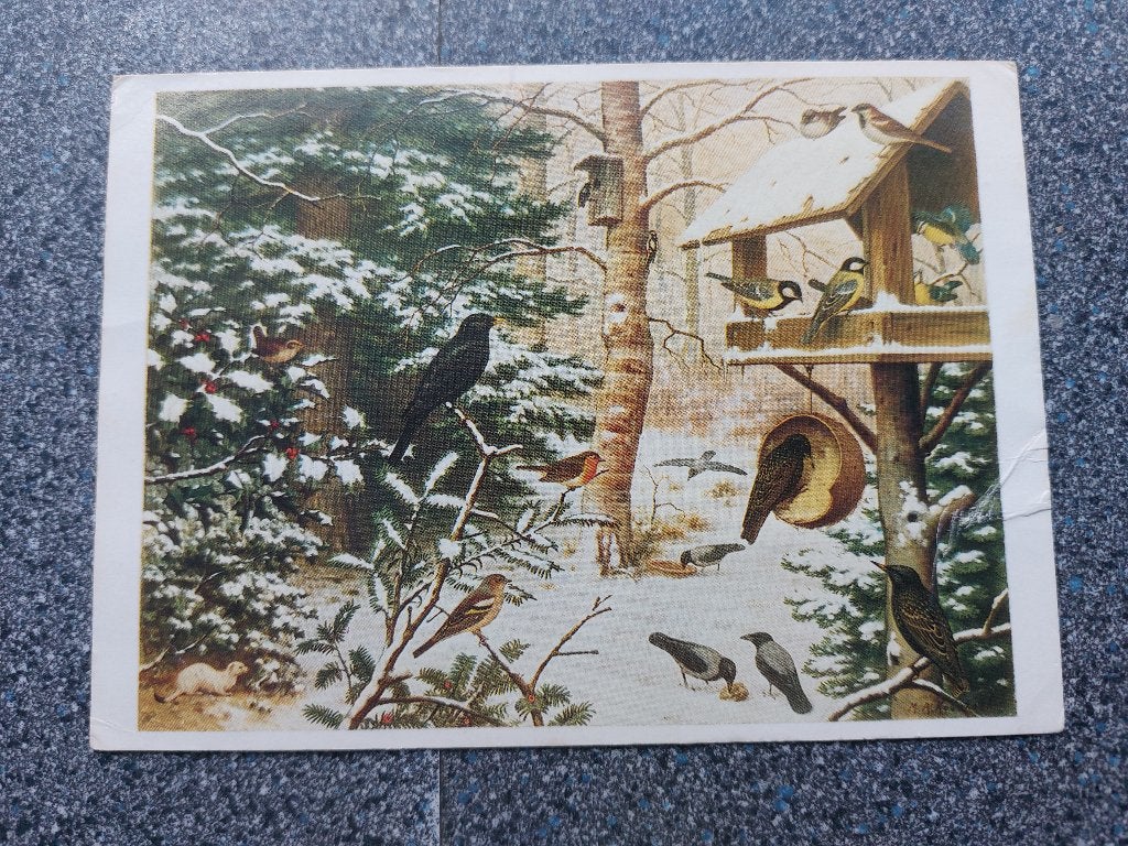 Ansicht Koekkoek "Vogels in de winter", ongelopen, Ophalen of Verzenden, 1940 tot 1960, Ongelopen