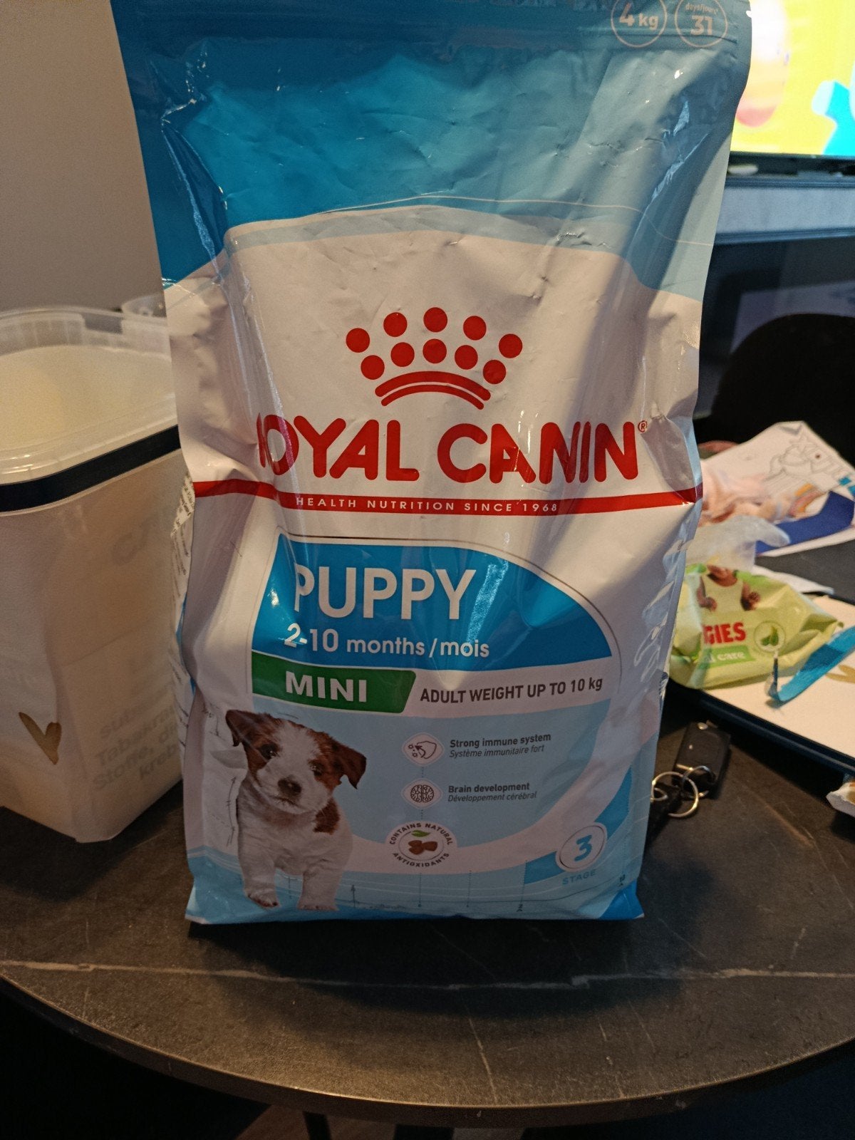 voer pup, Ophalen, Hond