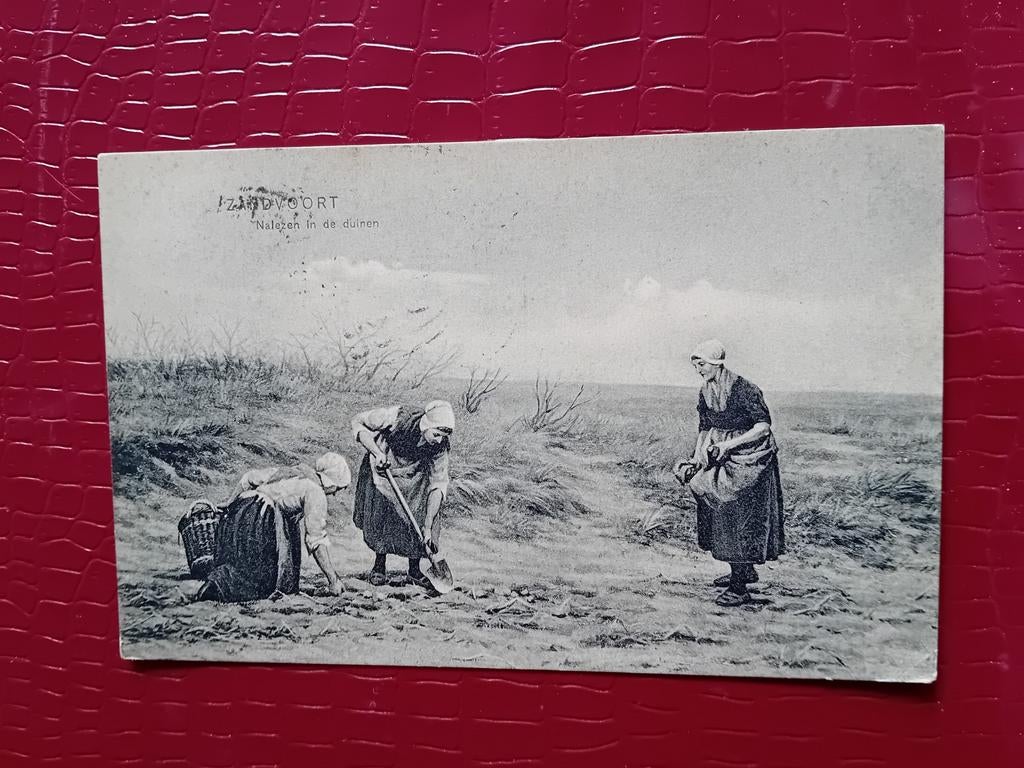 Ansichtkaart Zandvoort, Ophalen of Verzenden, Voor 1920, Noord-Holland