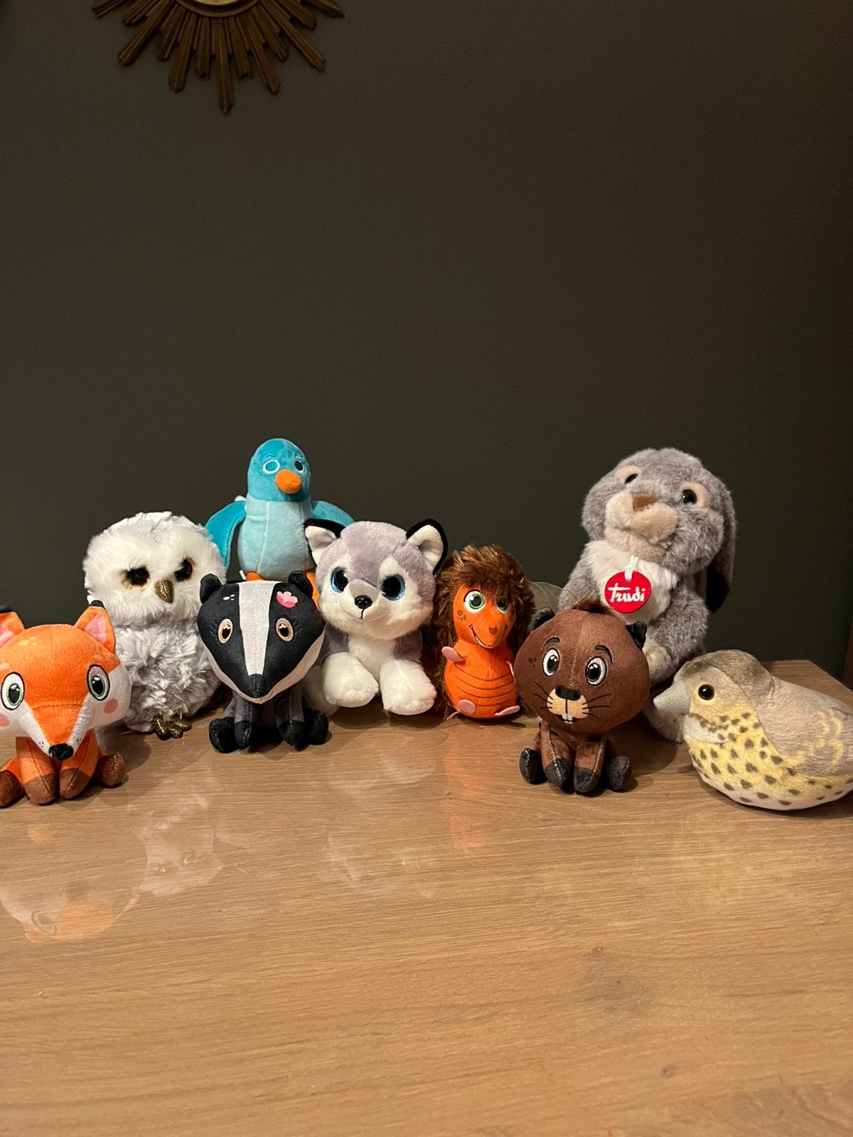 Leuke bos buiten dieren knuffels, Ophalen of Verzenden, Zo goed als nieuw, Overige typen