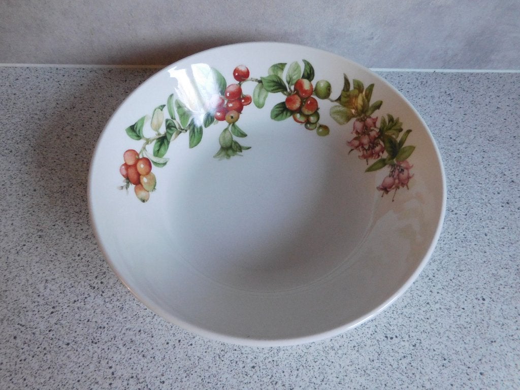 Diep Bord 19 cm Rode Bes Bosvrucht Wedgwood Marjolein Bastin, Landelijk/Boerenbont, Ophalen of Verzenden, Zo goed als nieuw, Bord(en)