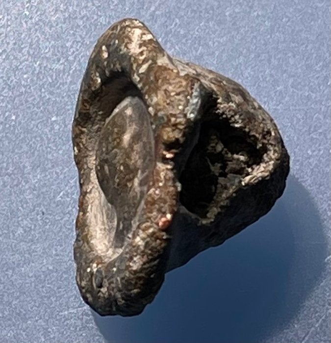 Bodemvondst/ Artefact…Romeins Keizerlijke Zegel, Ophalen of Verzenden