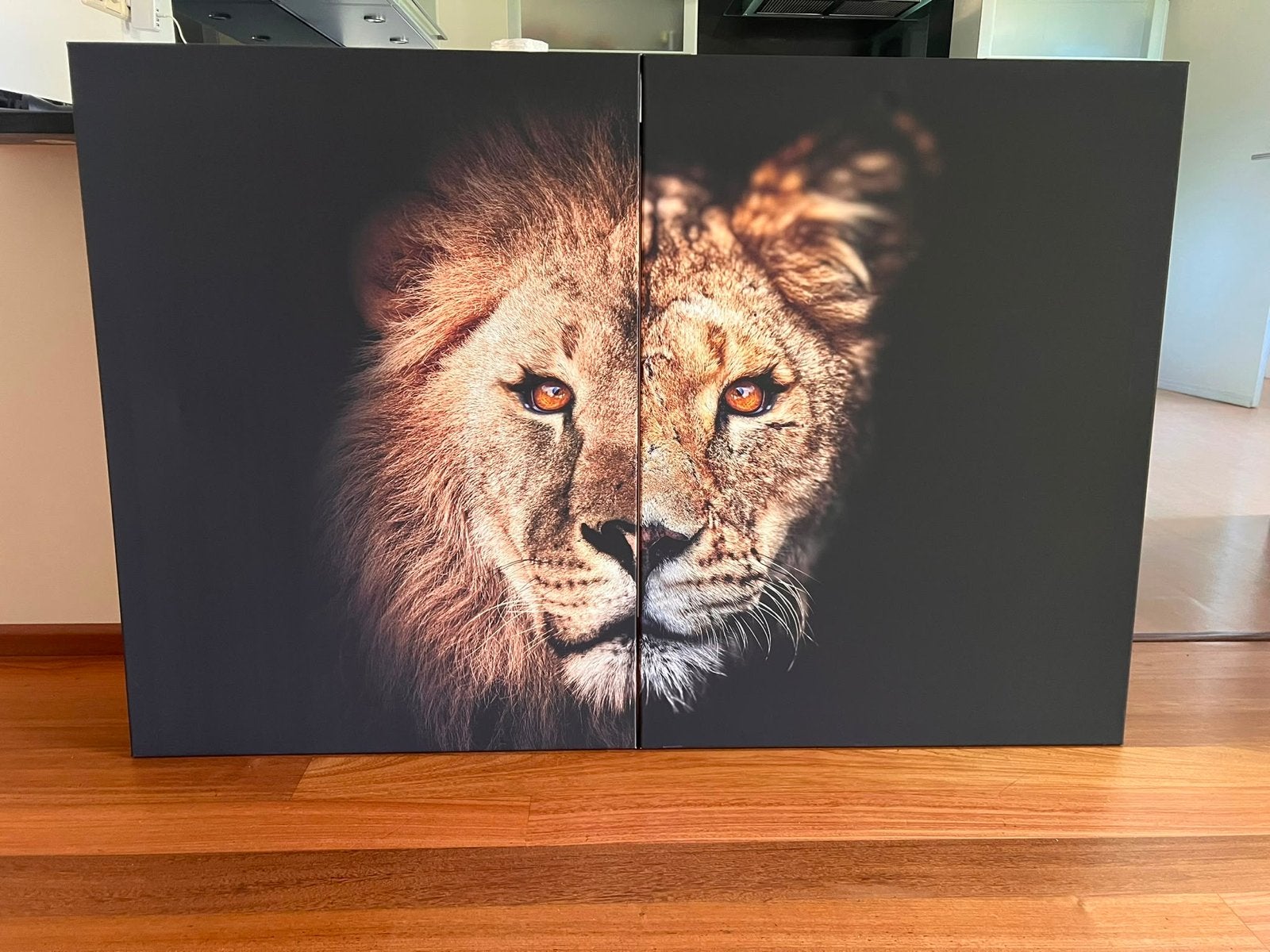 Schilderij op canvas: Leeuw en Leeuwin (set van 2), Antiek en Kunst, Ophalen, Dieren, Print, Op houten frame