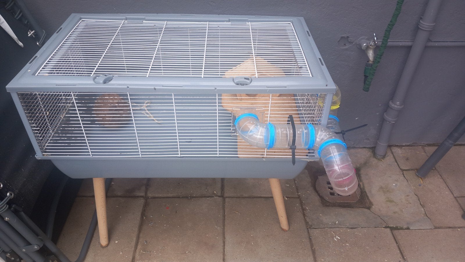 Hamster kooi., Dieren en Toebehoren, Knaagdieren en Konijnen | Hokken en Kooien, Kooi, Gebruikt, Minder dan 75 cm, Hamster