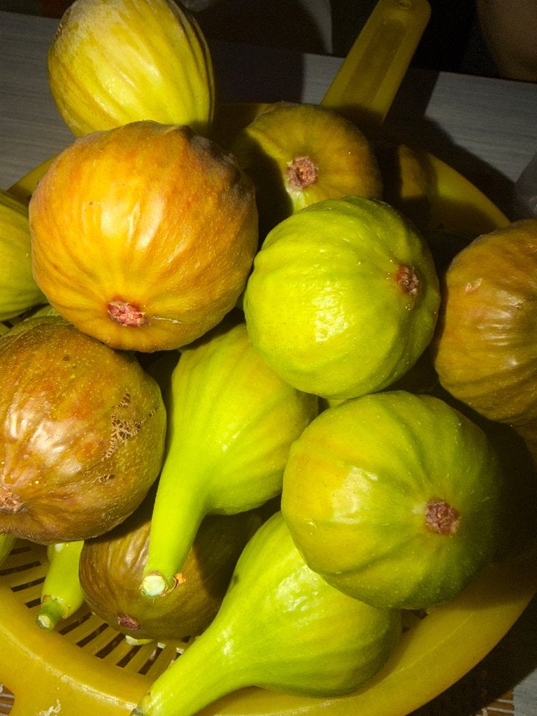 Super verse vijgen €10 per kilo gezond vers, Ophalen of Verzenden
