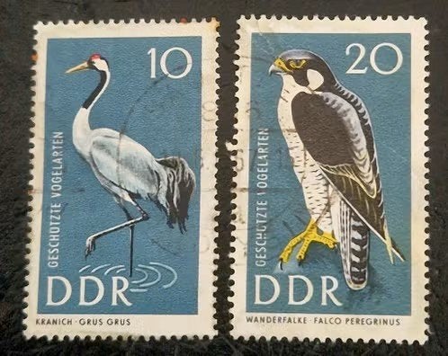 Duitsland DDR 1967 - Mi.1732 - Vogels, Ophalen of Verzenden, DDR, Gestempeld