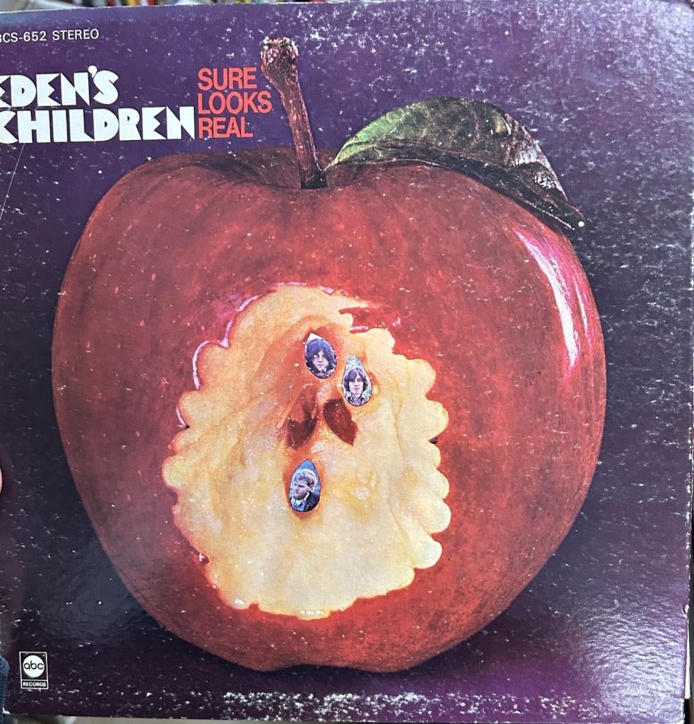 Eden's Children: Sure looks real (lp), Ophalen of Verzenden, Gebruikt, 12 inch, Overige genres