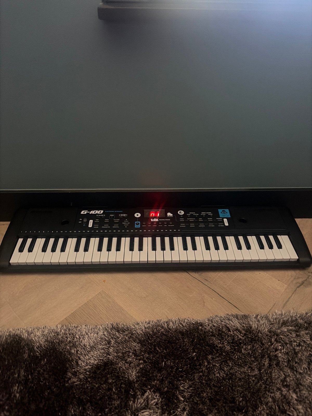 G-100 Keyboard - Ideaal voor beginners, Muziek en Instrumenten, Ophalen of Verzenden, Gebruikt, 61 toetsen, Overige merken