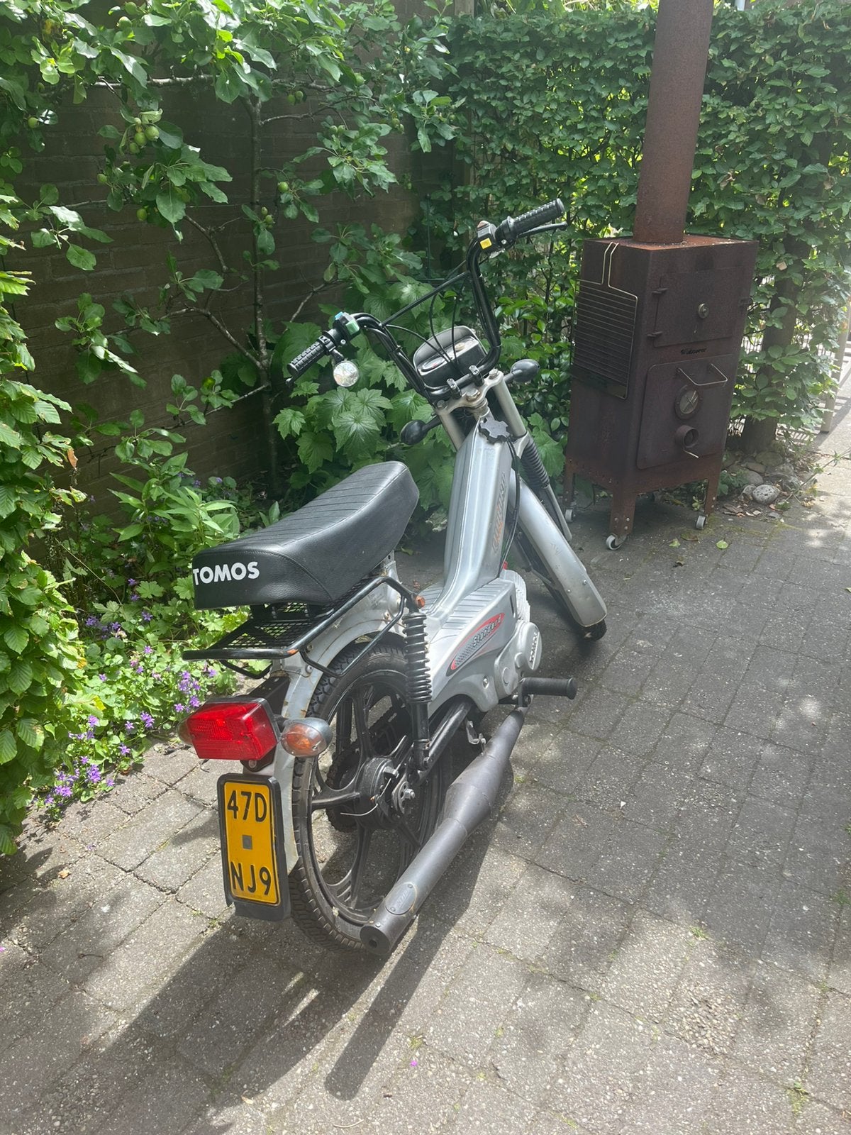 Tomos Quadro Geel Kenteken 50cc, Ophalen, Gebruikt, Standard