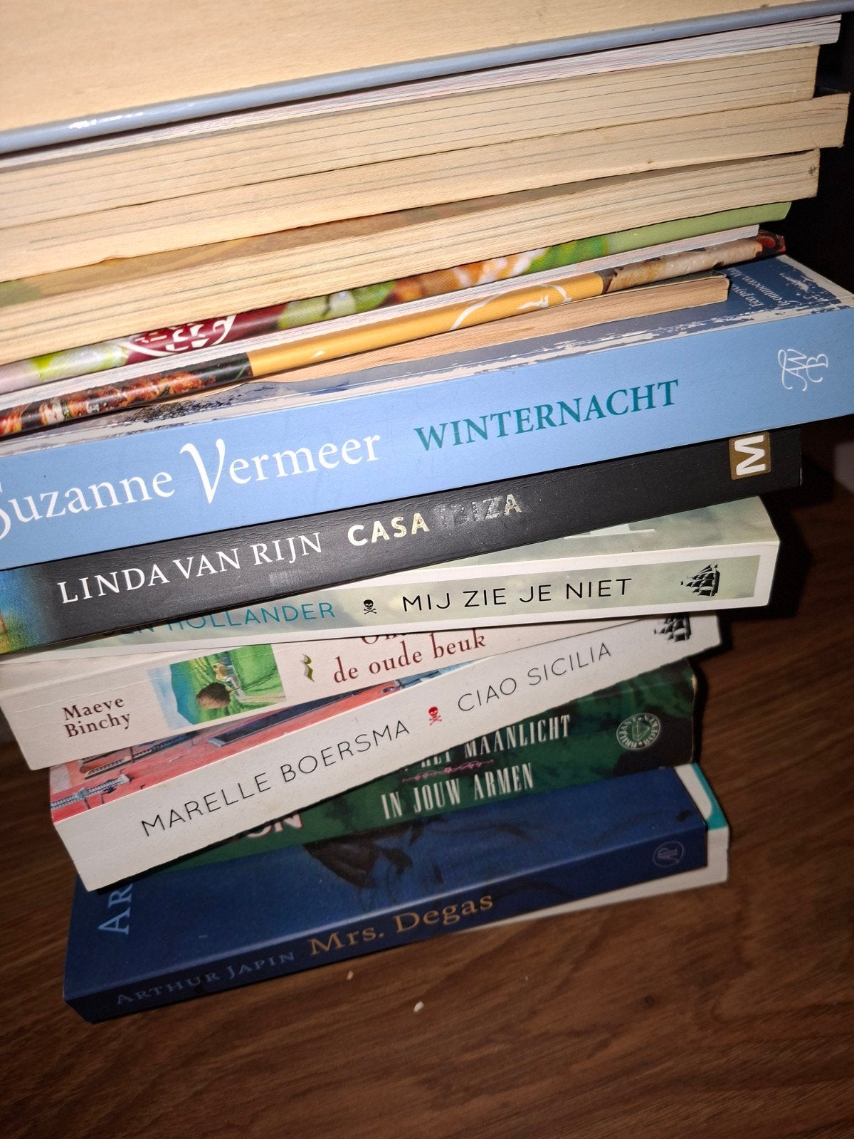 Diverse boeken alles in 1 keer geen losse boeken.Linda van R, Ophalen, Gelezen, Susan Howatch, Mien van 't Sant, Toon Kortooms