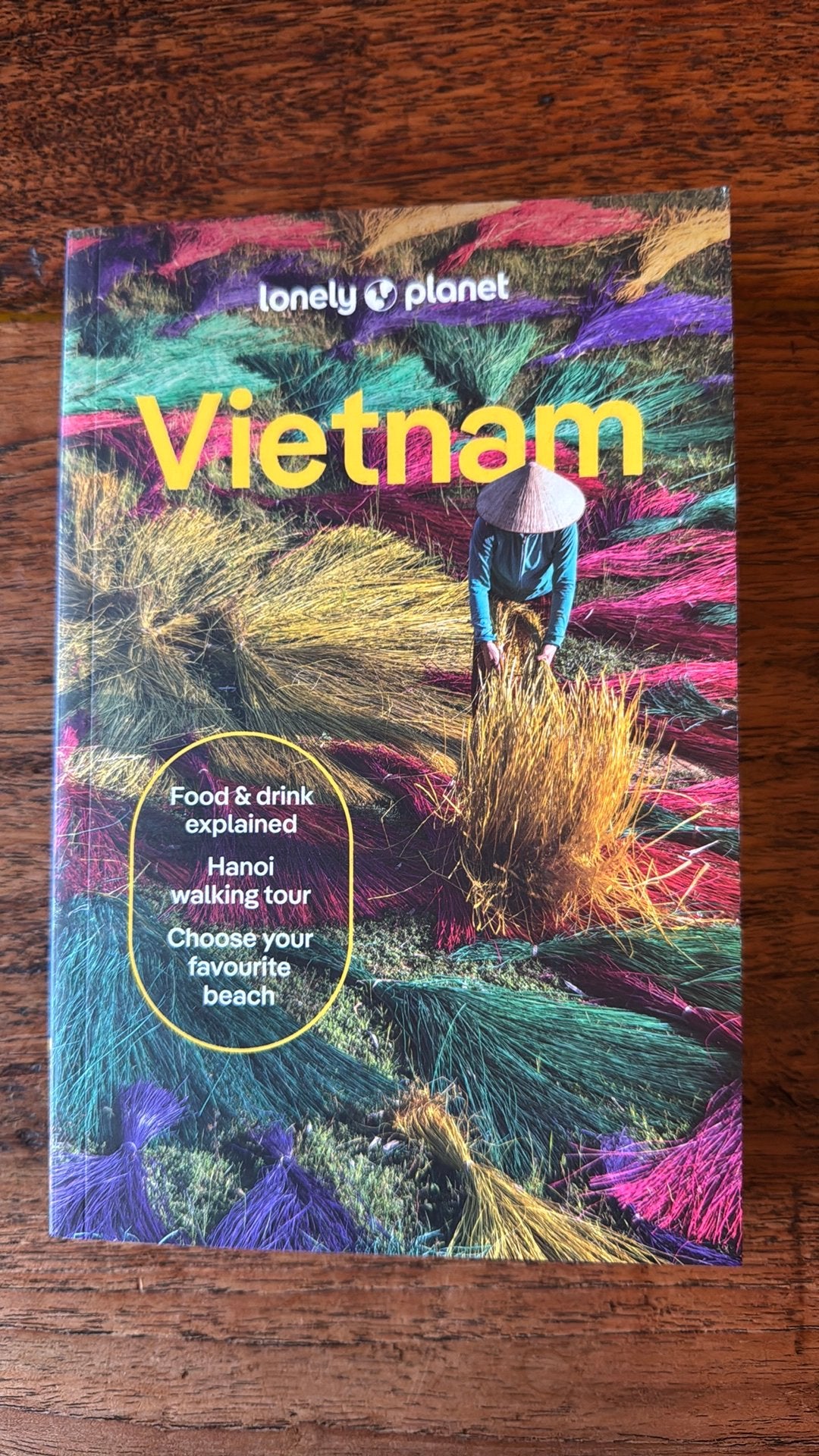 Nieuw: Vietnam Lonely Planet 17e druk, Boeken, Lonely Planet, Nieuw, Ophalen of Verzenden, Reisgids of -boek