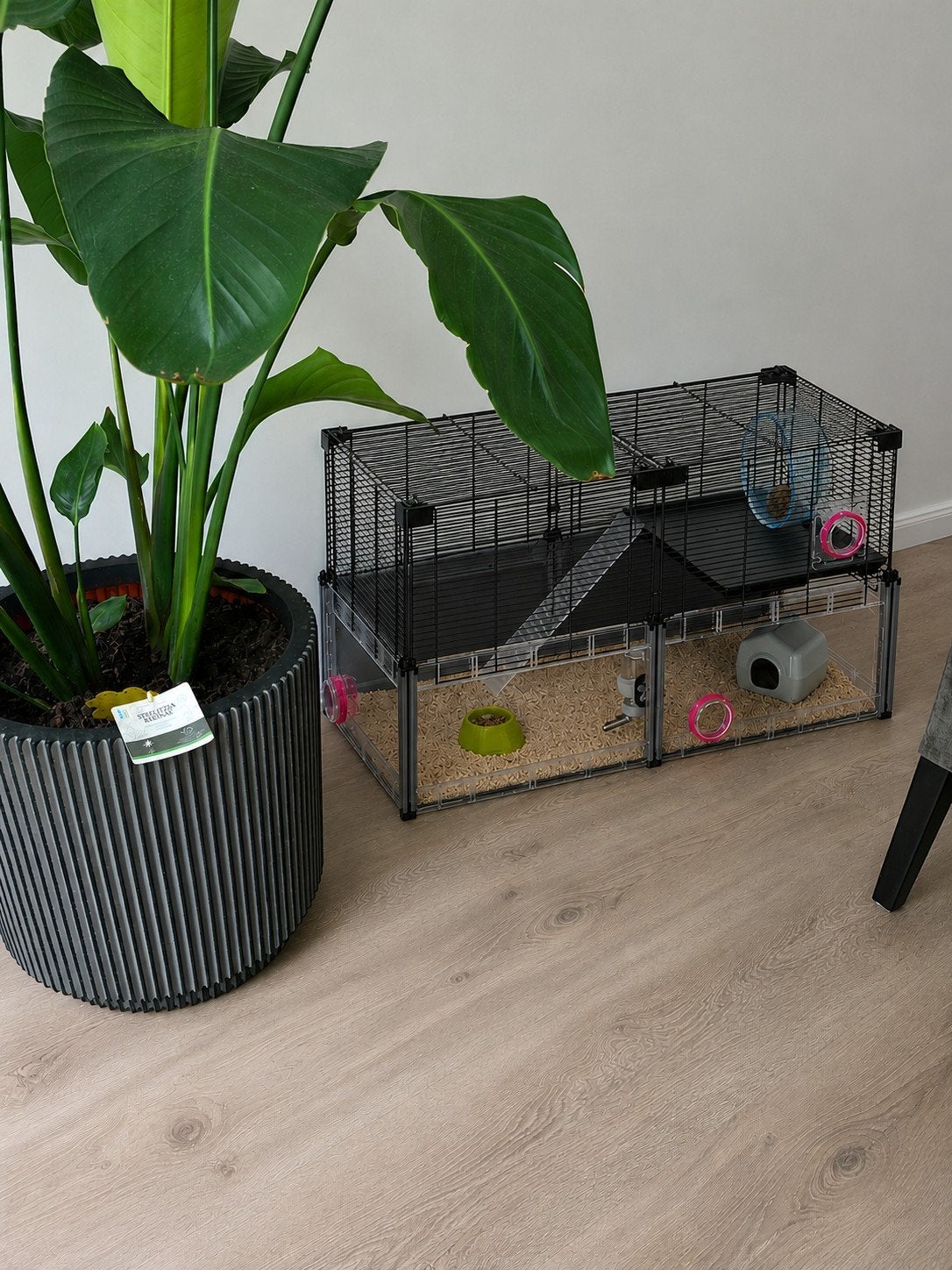 Ferplast Multipla | Heel veel toebehoren!, Dieren en Toebehoren, Kooi, Minder dan 75 cm, Zo goed als nieuw, Muis