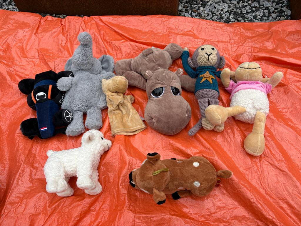 Verschillende knuffels, Ophalen of Verzenden, Beer