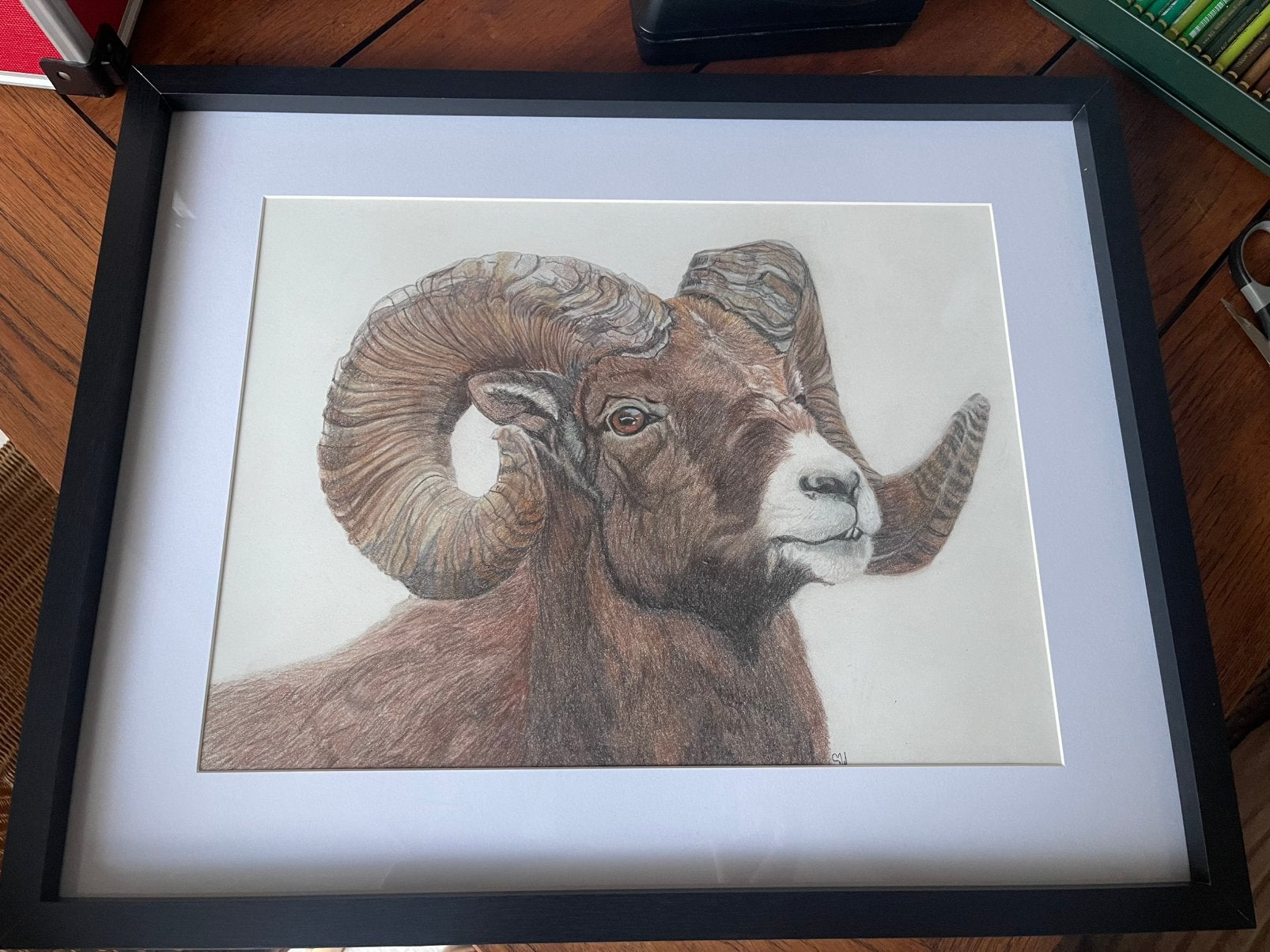 Berggeit tekening., Antiek en Kunst, Ophalen of Verzenden