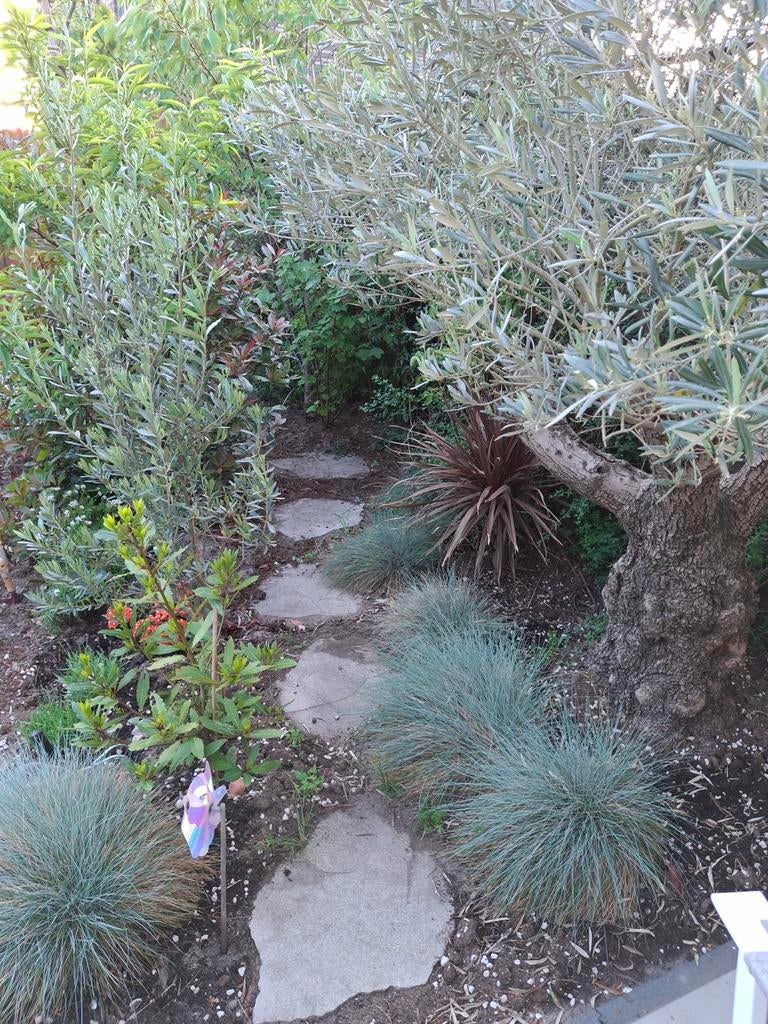 Geoceramica stapstenen (3 stuks) grijs, Tuin en Terras, Ophalen of Verzenden, Overige soorten, Volle zon