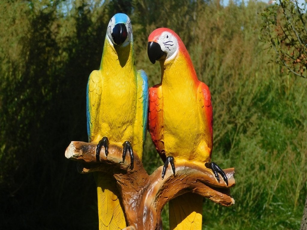 eeld Papegaaien op Boomstronk - Polystone - Vol in Kleur, Dierenbeeld, Kunststof, ., Nieuw
