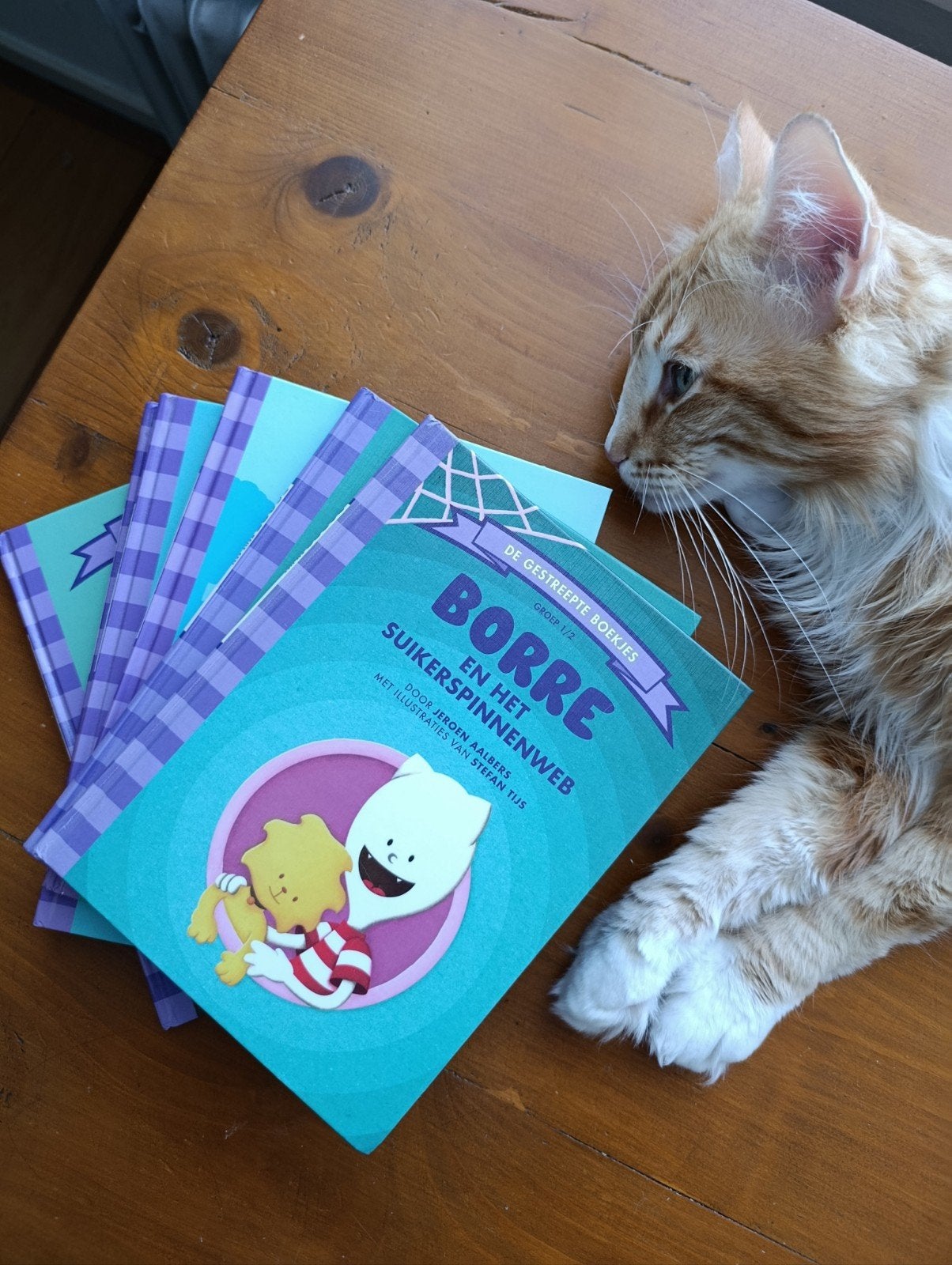 6 Borre boeken in nette staat, Boeken, Kinderboeken | Jeugd | onder 10 jaar, Ophalen of Verzenden, Zo goed als nieuw, Fictie algemeen