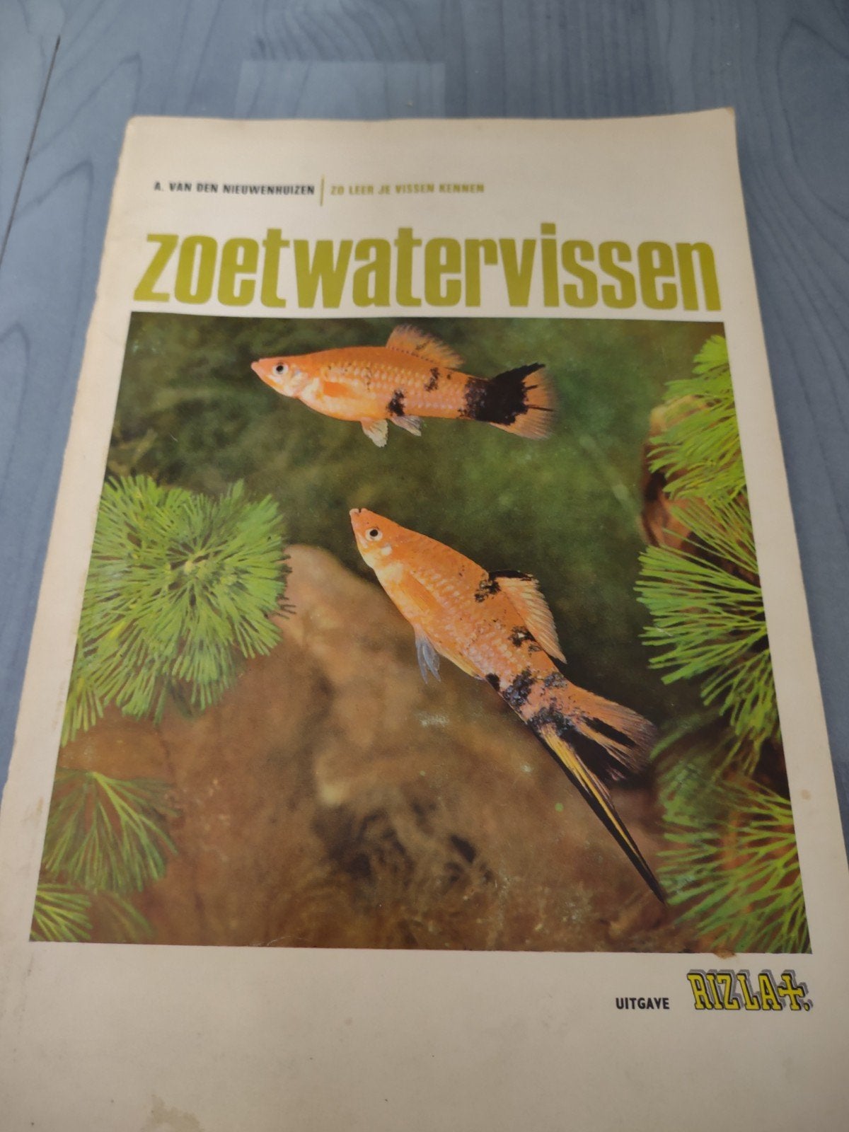 Zoetwatervissen verzamel Rizla+, Ophalen