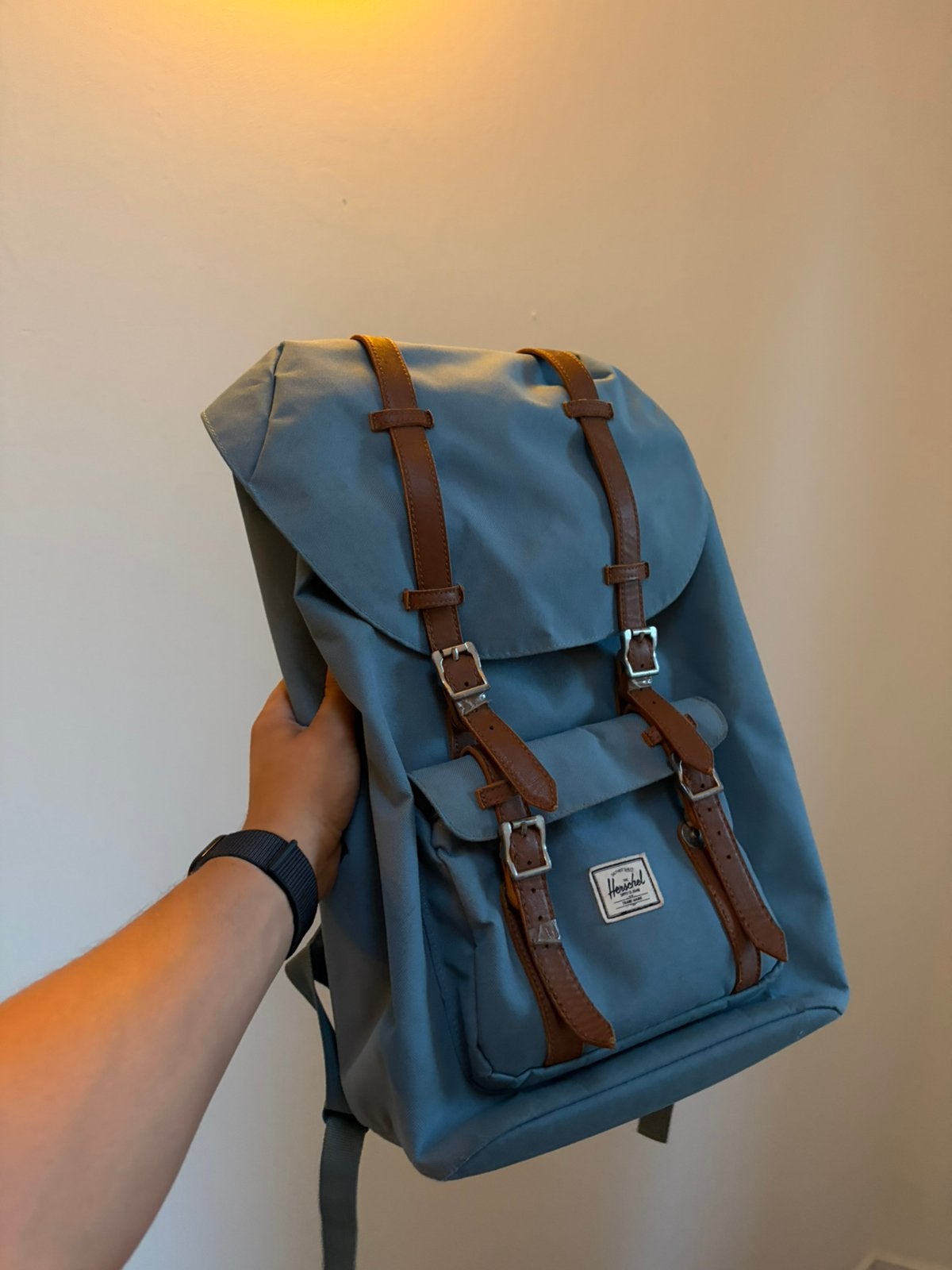 Tas - Herschel, Sieraden, Tassen en Uiterlijk, Tassen | Rugtassen, Ophalen, Zo goed als nieuw, Overige merken
