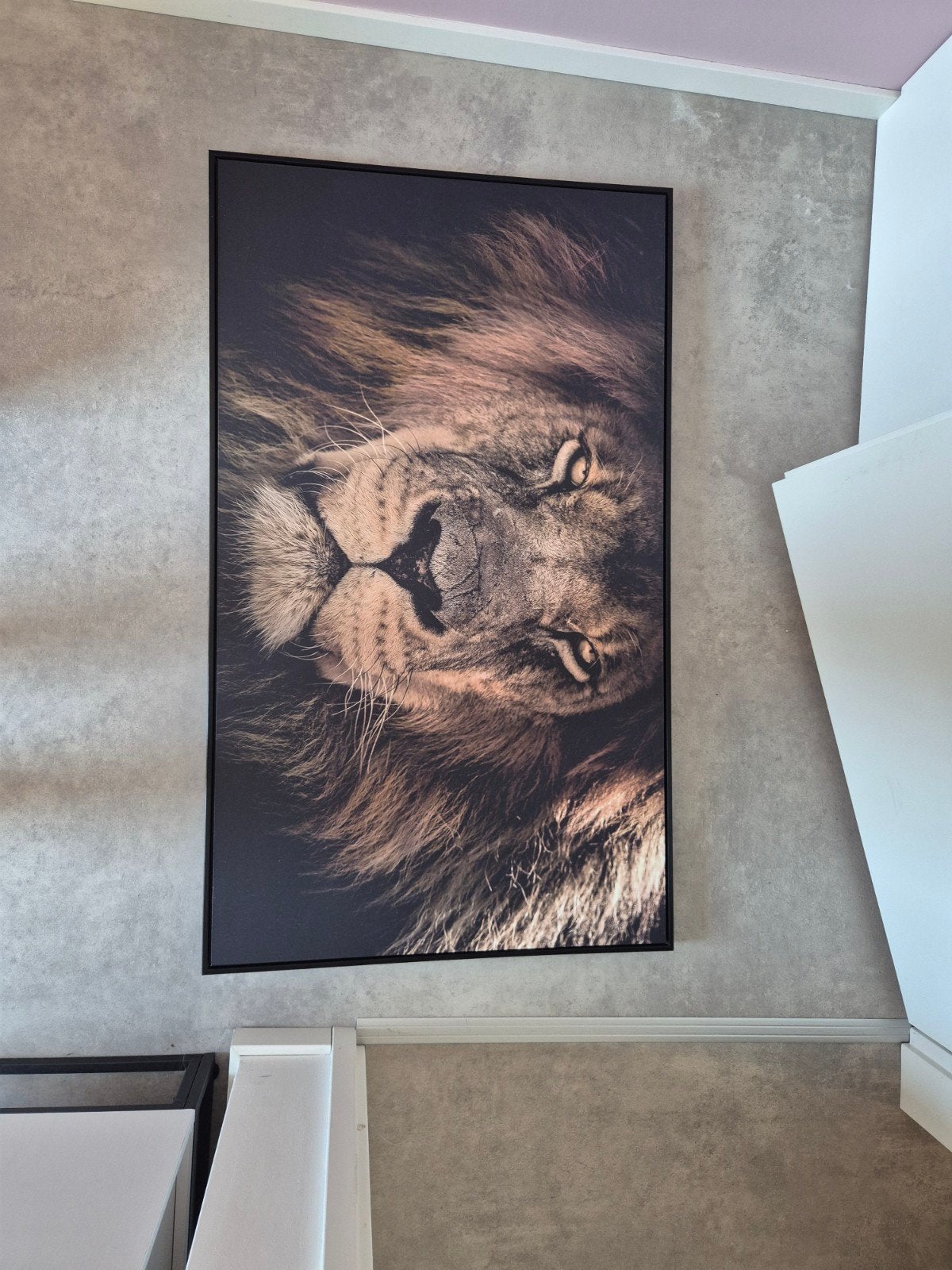 Indrukwekkend Leeuwenportret, Ophalen