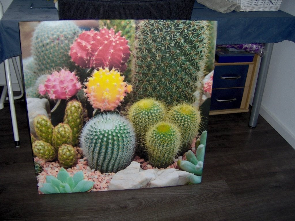 canvasdoek, Ophalen, Zo goed als nieuw