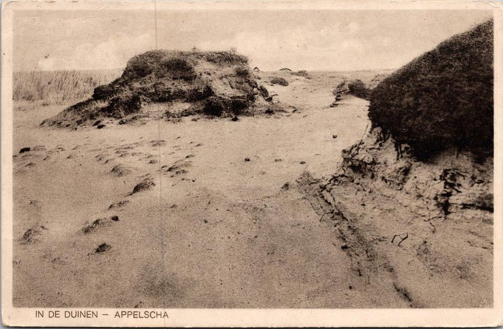 Appelscha - In de duinen (1929), Verzenden, 1920 tot 1940, Gelopen, Friesland