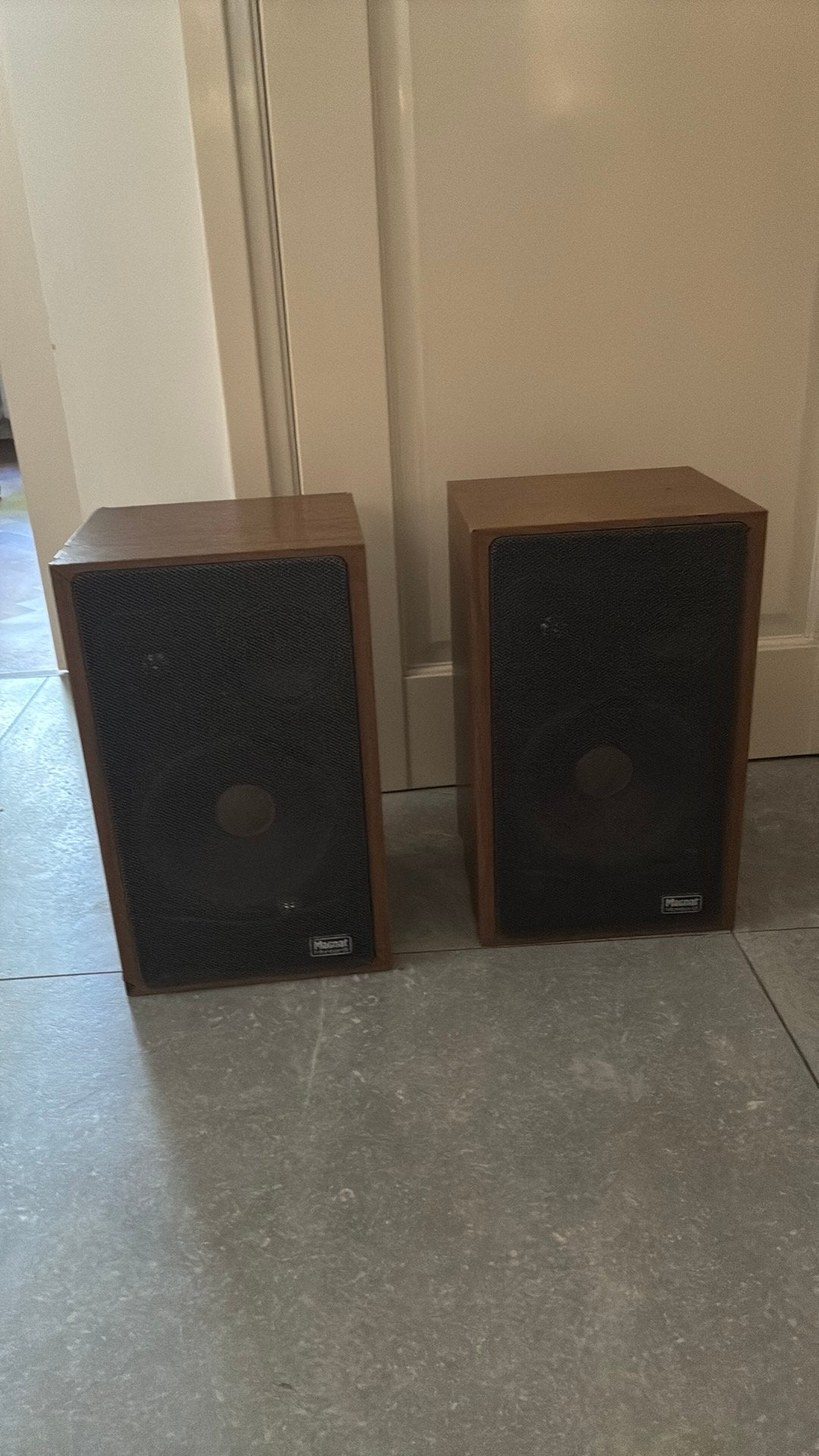 Magnat Bull boxen 80-120 W, Ophalen, Gebruikt, Magnat