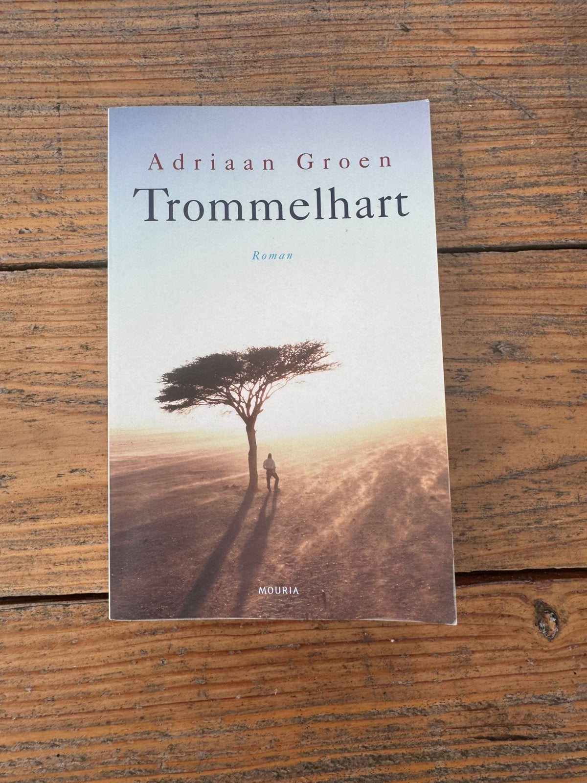 Adriaan Groen - Trommelhart, Ophalen of Verzenden, Zo goed als nieuw, Adriaan Groen