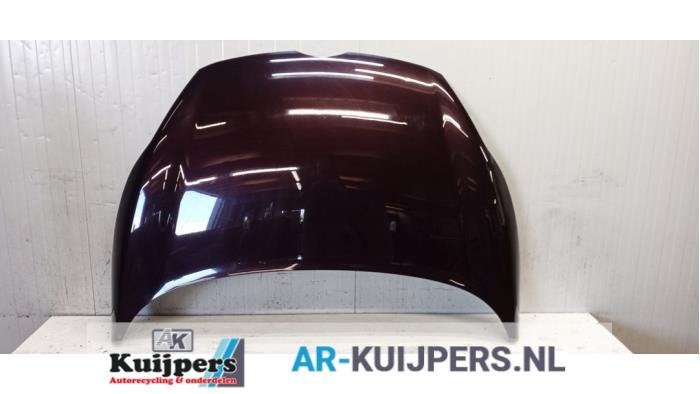 Motorkap van een Ford Fiesta (8RTE), Auto-onderdelen, Gebruikt, -, -, Ford