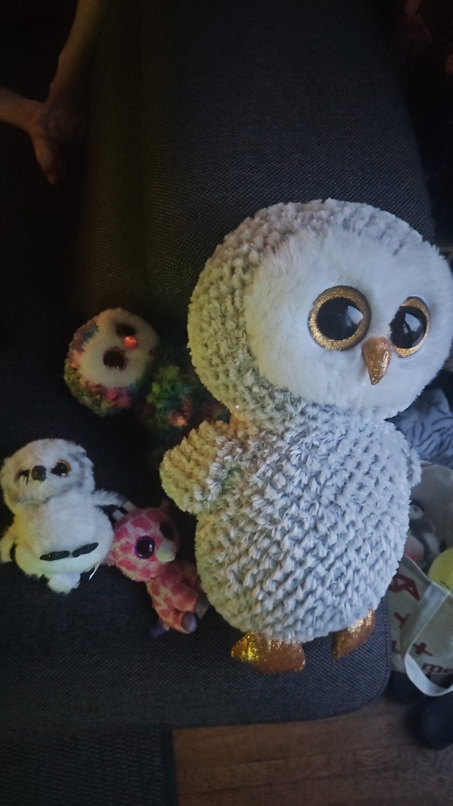 knuffels van Ty beanie boo, Ophalen, Gebruikt, Overige karakters, Overige typen