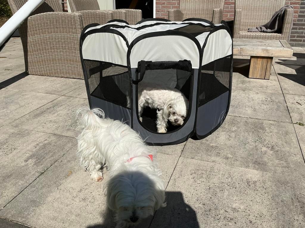 Honden bench voor kleine hondjes nieuw opvouwbare, Dieren en Toebehoren, Hondenhokken, Ophalen, Zo goed als nieuw