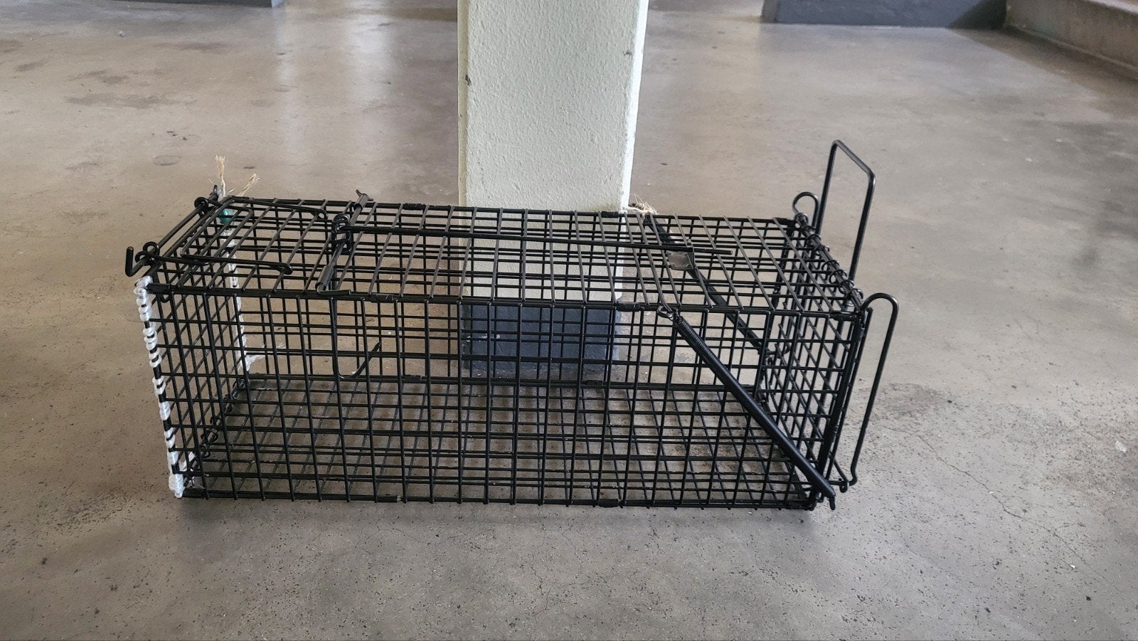 Katten (dieren) vanger, Dieren en Toebehoren, Katten-accessoires, Ophalen