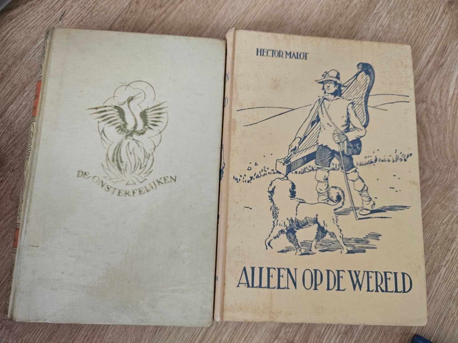 Alleen op de Wereld & De Onsterfelijken - Oude Boeken, Boeken, Ophalen of Verzenden, Gelezen, Hector Malot