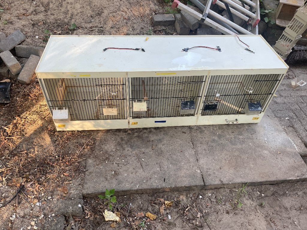 Leuke 3 delige broedkooi, Dieren en Toebehoren, Vogels | Kanaries, Kleurkanarie, Meerdere dieren