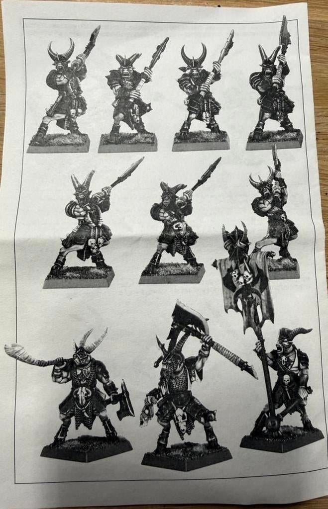 Warhammer TOW Beastmen 30x Bestigor Herd, Ophalen of Verzenden, Zo goed als nieuw, Warhammer
