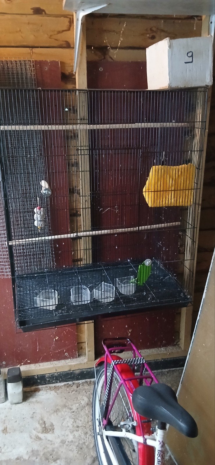vogels kooien, Ophalen, Metaal, Vogelkooi