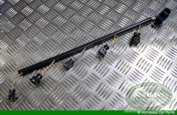 Pompverstuiverrail TD5 Land Rover Discovery 2 en Defender, -, -, Nieuw, Ophalen of Verzenden