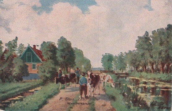 Reclame fa Sluis Weesperkarspel zaadhandel vogel en pluimvee, Verzenden, 1940 tot 1960, Ongelopen, Overige thema's
