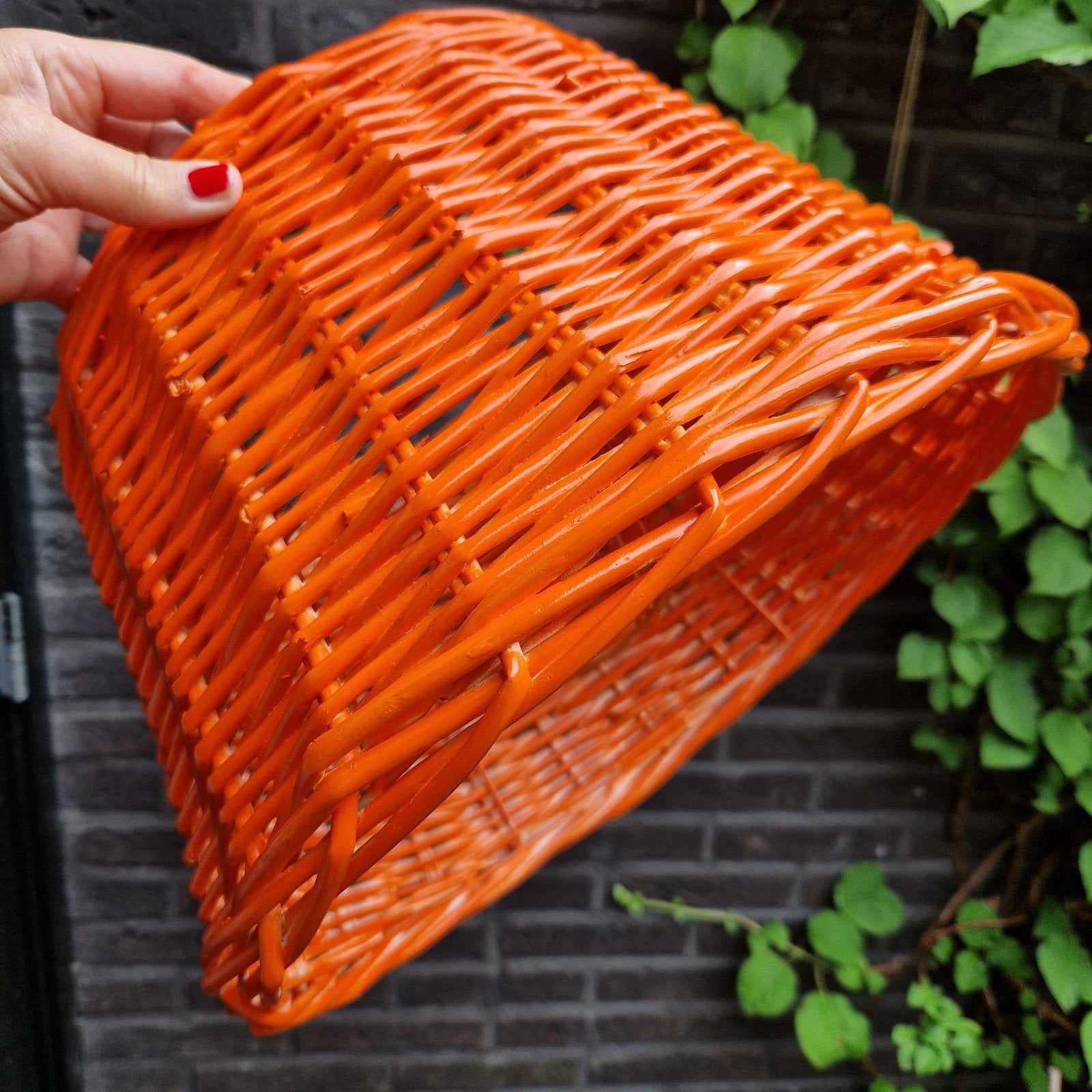 Oranje lampenkap riet, Ophalen