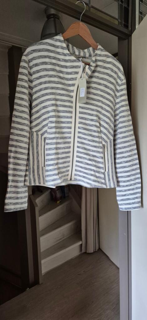 Dreamstar vest maat XL (42/44) grijs/beige, Dreamstar, Beige, Maat 46/48 (XL) of groter, Nieuw