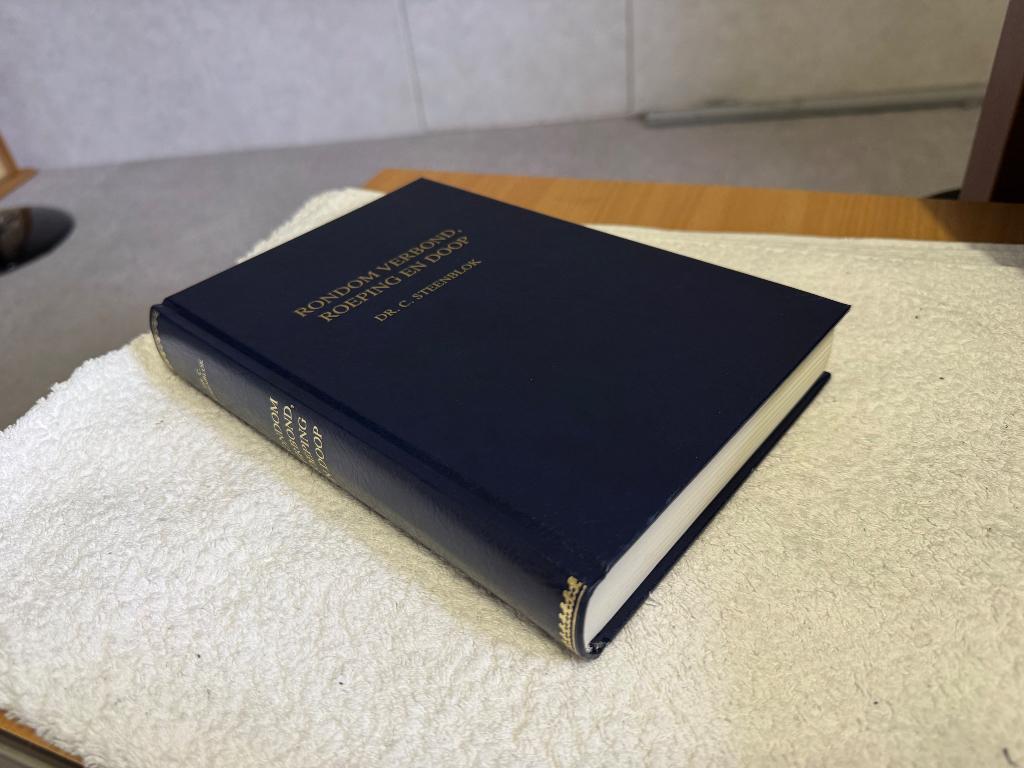 Dr Steenblok - Rondom verbond roeping en doop (Nieuwstaat!), Boeken, Ophalen of Verzenden, Zo goed als nieuw