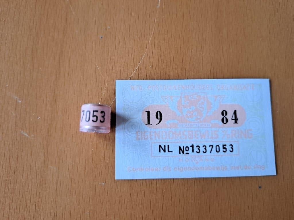 Duivenring 1984, Ophalen of Verzenden, Beeldje of Figuurtje