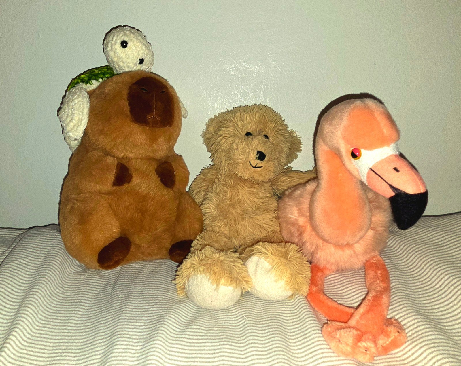 Living Nature flamingo, teddybeer, capibara en schildpad, Ophalen, Zo goed als nieuw, Overige typen