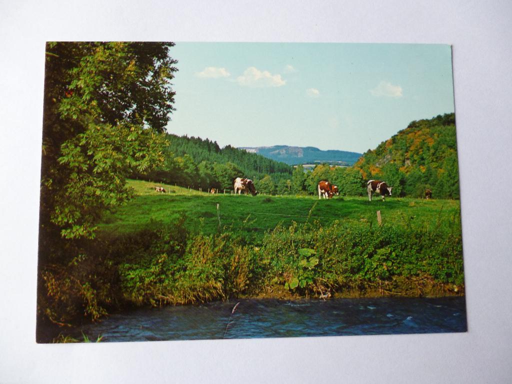 ansichtkaart Sauerland Duitsland, Verzamelen, Ophalen of Verzenden, 1980 tot heden, Ongelopen, Duitsland