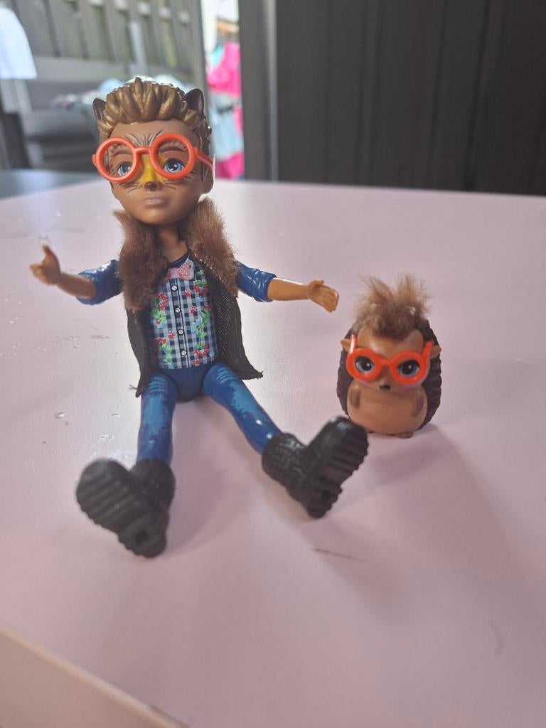 Enchantimals jongen met egel huisdier, Ophalen of Verzenden, Zo goed als nieuw, Overige typen