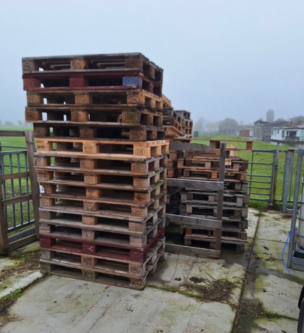 diversen pallets te koop., Ophalen, Overige houtsoorten, Minder dan 200 cm, Pallet
