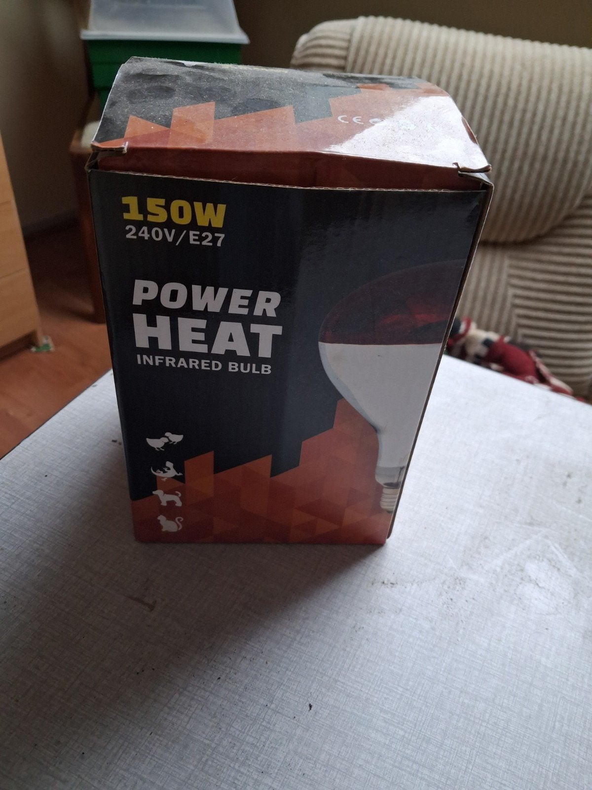 warmte lamp, Geslacht onbekend, Kip