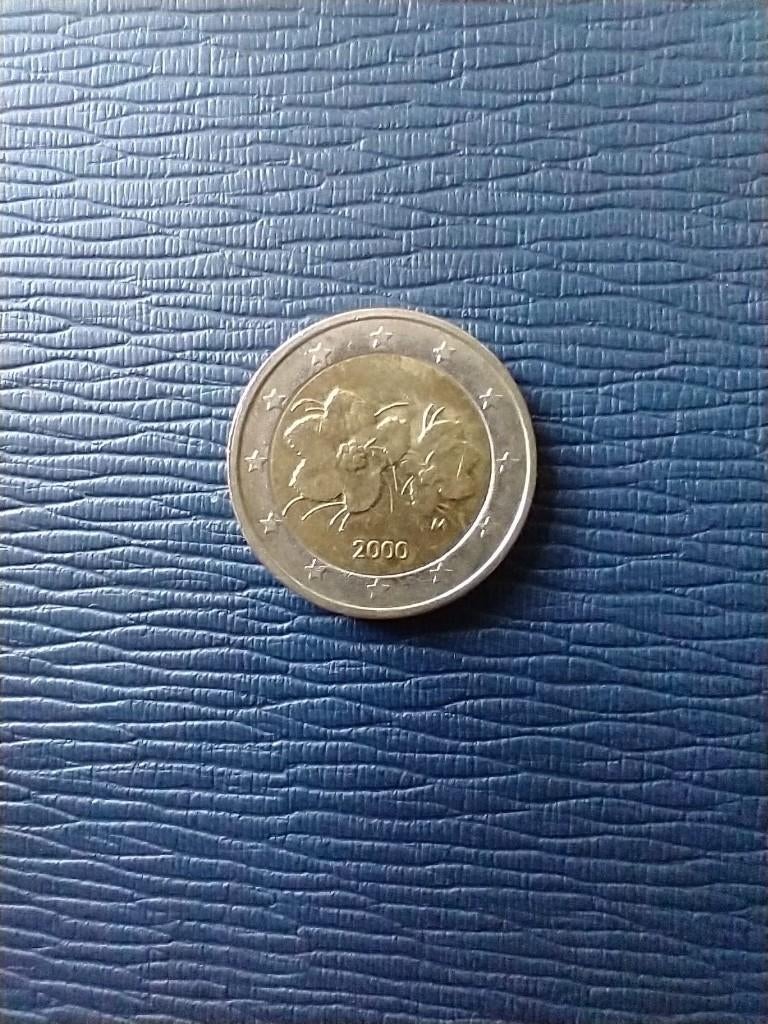 Finland 2 euromunt bloem 2000, Postzegels en Munten, Munten | Europa | Euromunten, Verzenden, Finland, 2 euro, Losse munt